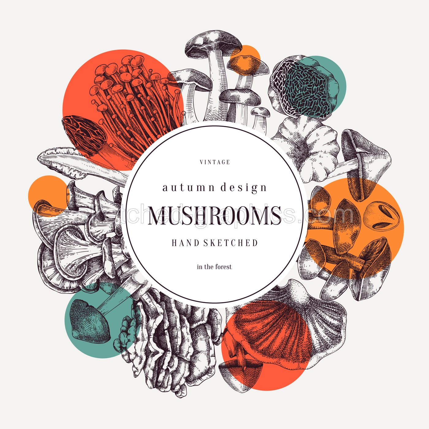 Collage style rorest mushrooms wreath. Edible mushrooms trendy frame design. Fungi, healthy food, vegan product sketches. Autumn background, hand-drawn vector illustration. Engraved design template Illustration